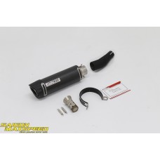 Pô PR2 Carbon Slip On W175 (chính hãng)